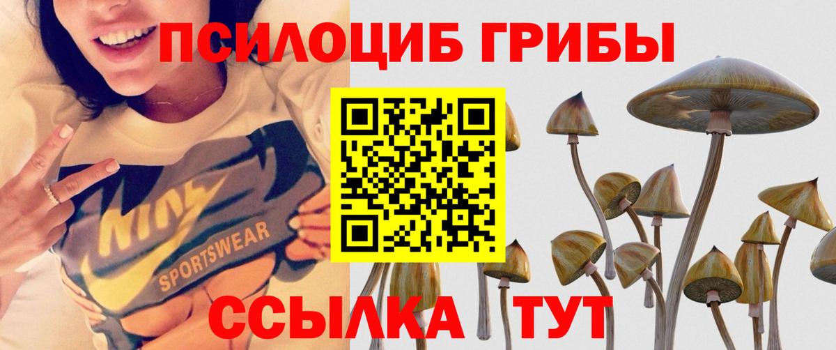 Вышний Волочёк  Галлюциногенные грибы ЛСД  Вход с VPN 